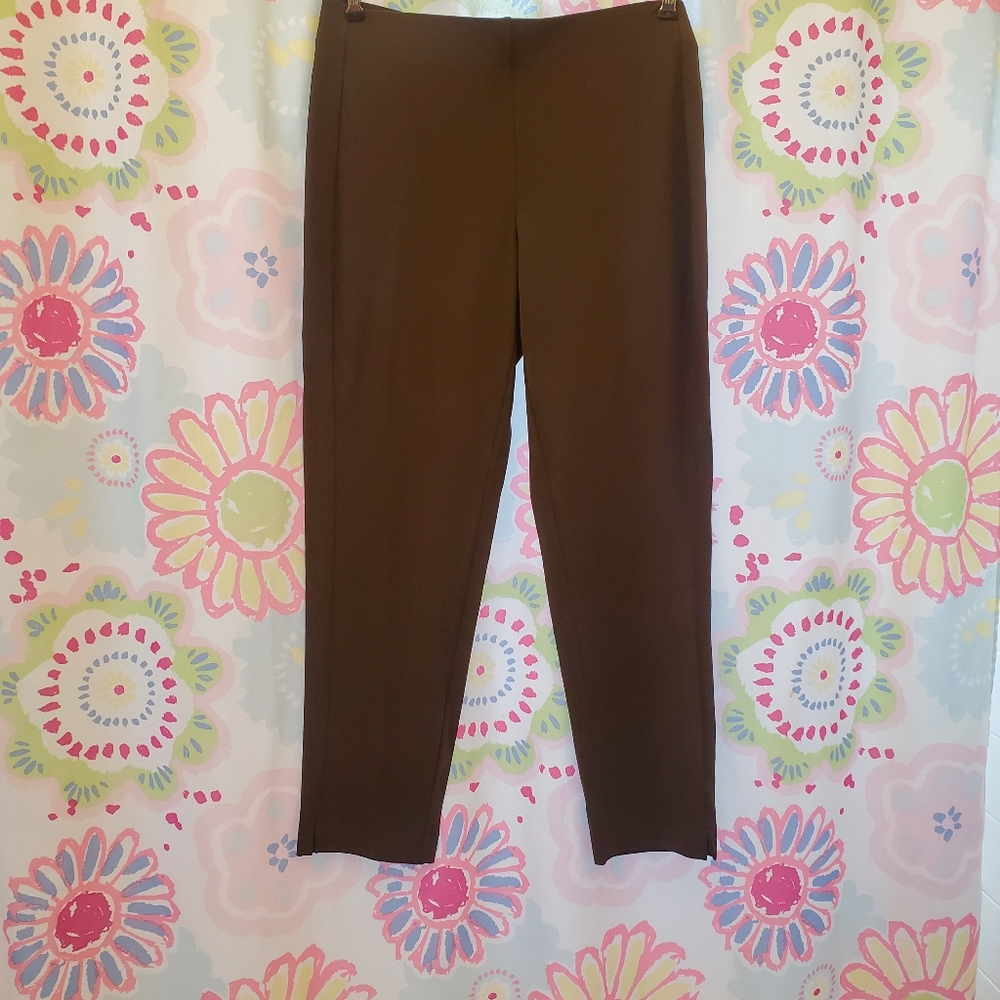 J Jill Wearever Collection,forward seam slim ankle, Size S, Dark Truffle, NWT